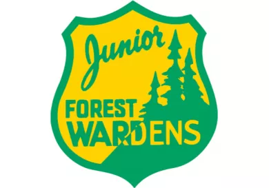 Junior Forest Wardens NL