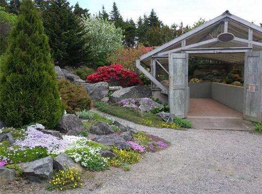 MUN Botanical Garden | Guide to the Good